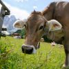 Trentino, de duurzame hotspot van Italië