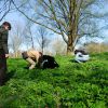 Eetbare wilde planten: op expeditie in Amsterdam