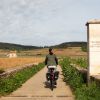 Fietsen in de Bourgogne, het land van de grand cru’s