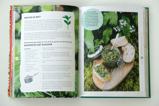 Gids De Smaak van Wildplukken: zelf brandnetel-pesto maken . wildplukken, boeken, tips, eetbare planten en bloemen zoeken