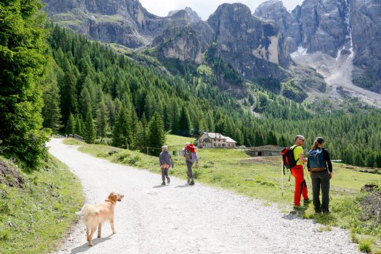 Een rondje in Val Venegia kost ongeveer vierenhalf uur, duurzaam reizen, rondreis Trentino, Italie, duurzame, groen, groene