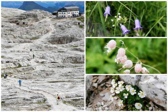 De tere natuur op het Pale plateau in Trentino, Italie, duurzaam reizen, rondreis Trentino, Italie