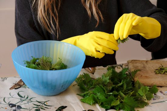 Koken met handschoenen, echt nodig als er brandnetel op het menu staat Wildplukexpeditie in Amsterdam-Noord, wildplukken, eetbare wilde planten