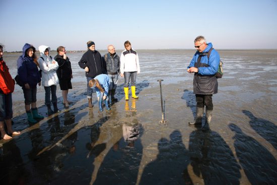 Onder en in die modderlaag blijkt nog best veel te leven. Rondreis Duitse Wadden, waddeneilanden, Duitsland, waddenzee, Borkum,