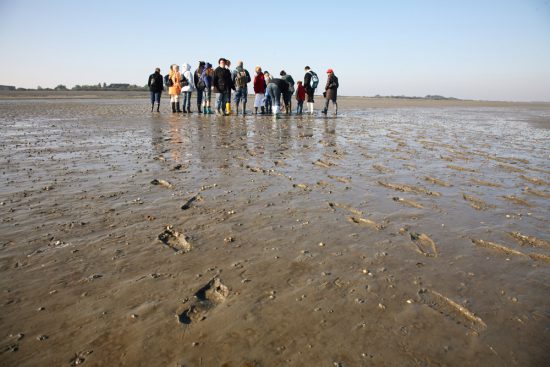 Wandelen door de glibberige modder op de wadden van Borkum. Rondreis Duitse Wadden, waddeneilanden, Duitsland, waddenzee, Borkum,