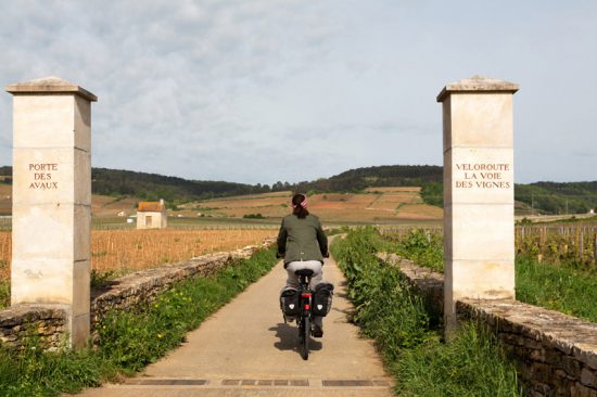 Fietsen langs de La Voie des Vignes in de Bourgogne , Fietsen in de Bourgonge, Frankrijk