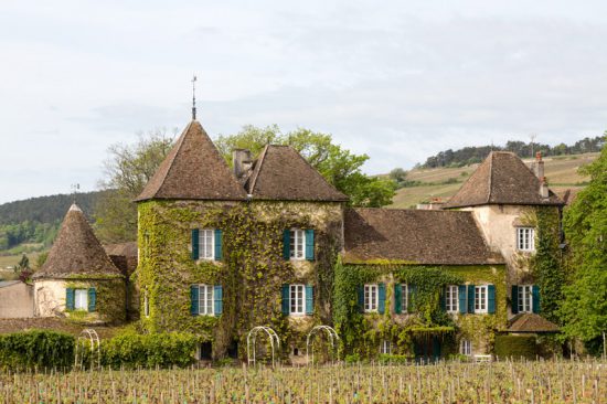 Mooie pandjes langs de fietsroute in de Bourgogne, Fietsen in de Bourgogne, Frankrijk