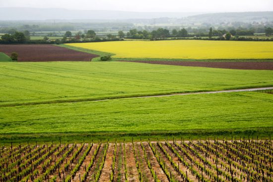 De kleurrijke lappendeken van de Bourgogne, Fietsen in de Bourgogne, Frankrijk