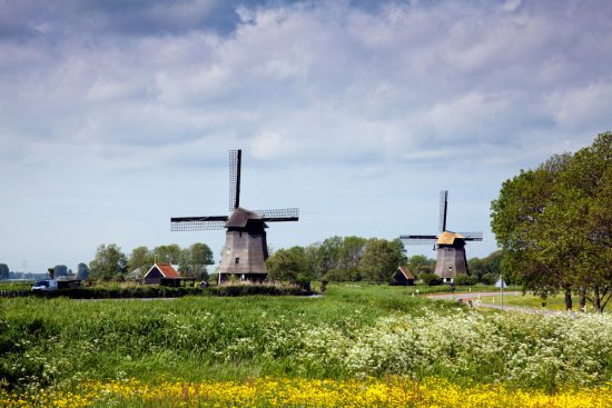 Molens in De Schermer in de polders van Noord-Holland, Nederland