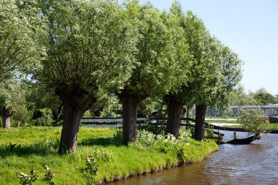 Tijdens de bootexcursie varen we ook door smalle slootjes. boottocht Eilandspolder, Noord-Holland, Nederland, varen, boottoer, excursie, boot