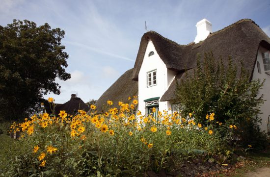 Op Sylt staan vele prachtige rietgedekte huizen. Rondreis Duitse Wadden, waddeneiland, Duitsland, waddenzee, Sylt