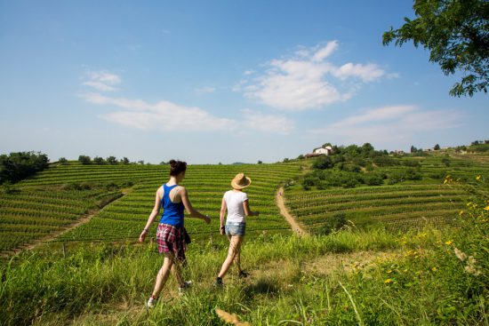 De kersenwandeling gaat door dalen en over heuvels. Slovenie, kersenfestival in de Brda regio