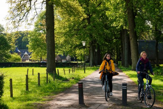 Fietsen onder de bomen bij Vilsteren. Fietsen door het Vechtdal van Duitsland naar Nederland, fietsvakantie