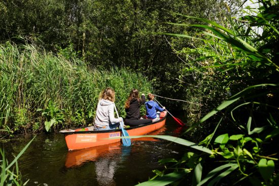 Kanoën door een doolhof van slootjes omzoomd door riet. Wetlands Safari, kano tour in Ilperveld, de groene achtertuin van Amsterdam, n