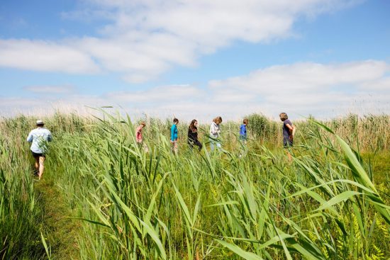 Wandelen over trilveen, een bijzondere gewaarwording. Wetlands Safari, kano tour in Ilperveld, de groene achtertuin van Amsterdam, n 