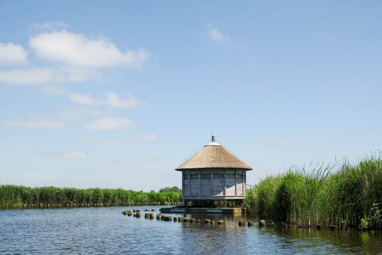 Je komt zelden iemand tegen in natuurgebied Ilperveld. Wetlands Safari, kano tour in Ilperveld, de groene achtertuin van Amsterdam, n