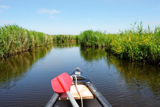 Wat een rust, op tien minuten bussen vanaf Amsterdam. Wetlands Safari, kano tour in Ilperveld, de groene achtertuin van Amsterdam, n