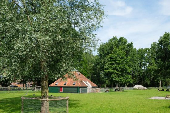 Een van de kinderboerderijen van Zaandam vind je in het Darwinpark