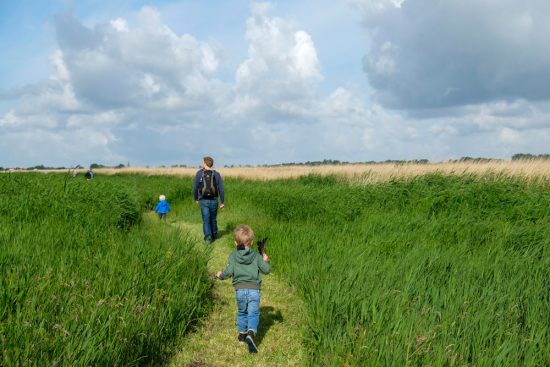 Wandelen over water in Natuurpark Guisveld in Zaandijk, Zaanstad, Nederland. Twee dagen per jaar is natuurgebied Guisveld geopend voor publiek