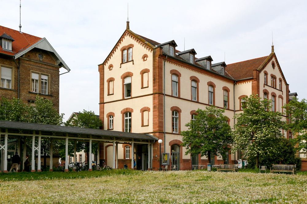 Cultuur snuiven bij museum Sammlung Prinzhorn in Heidelberg . Fietsen over de Bergstrasse bij Heidelberg, Duitsland