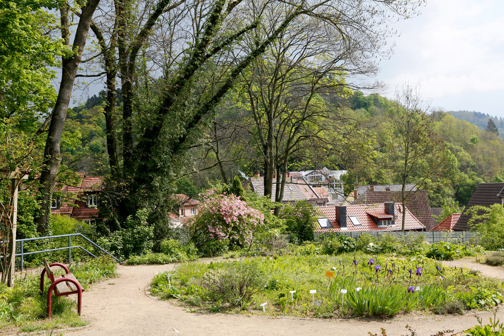 Rondom Weinheim is het vooral heerlijk groen. Fietsvakantie Die Bergstrass, Heidelberg, Duitsland, fiets, fietsroute, rondreis, standplaats 