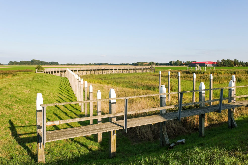 Wandelen langs de contouren van het voormalige eiland Schokland.. Wandelen in Flevoland