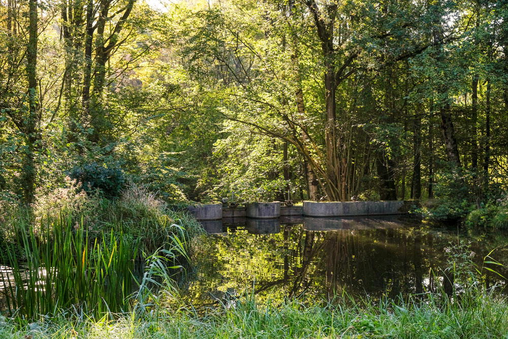 Het Waterloopbos was jarenlang een openluchtlaboratorium. Wandelen in Flevoland