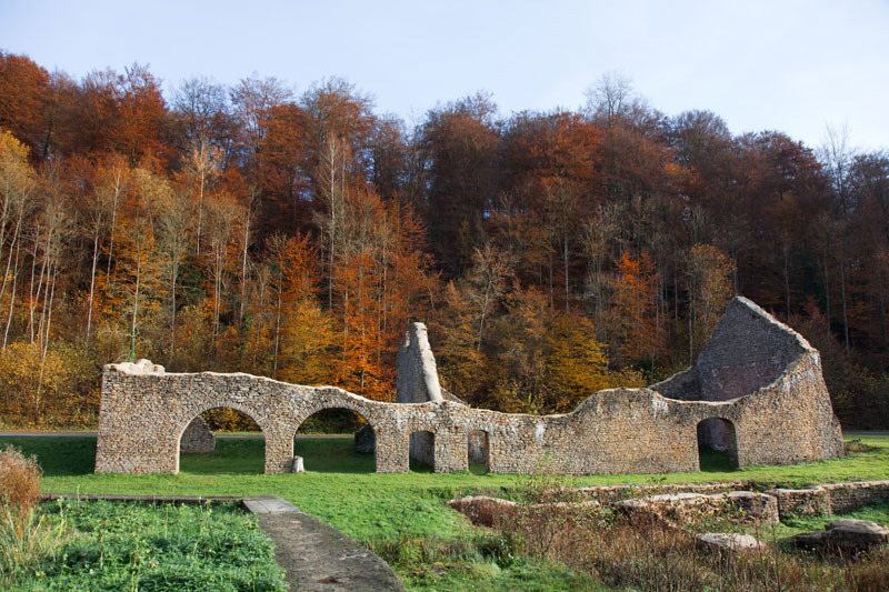 Herfstkleuren en ruïnes in Monautban. Rondreis La Gaume, Wallonie, Belgie, hotspots, bezienswaardigheden, roadtrip