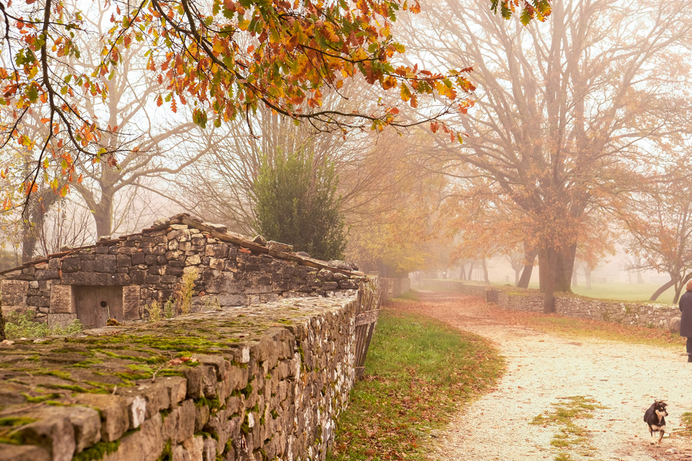 Een mysterieuze mist maakt Altilia nog specialer. Molise, Italie, duurzame rondreis in een ontontdekte regio. Moleasy