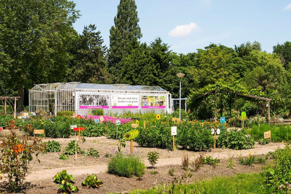 Schooltuin Vink bestaat al bijna 100 jaar lang. Park Frankendael in Amsterdam Watergraafsmeer. Groen in de stad.